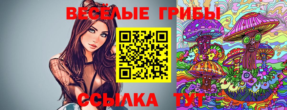 Карачаевск  Галлюциногенные грибы Psilocybe  Вход с VPN 